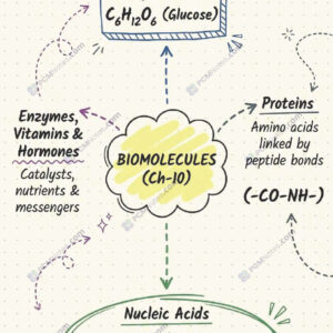 Class 12 chemistry biomolecules notes pdf